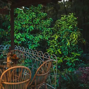 Apto Br 6 Min De Provenza, Encanto Natural Medellín